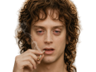 frodon-saquet-wtf-machoire-hight-bizarre-fraudonniard-phaonce-lsda-lotr