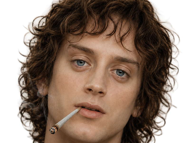 frodon saquet wtf machoire hight bizarre fraudonniard phaonce lsda lotr