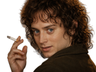 frodon-saquet-wtf-machoire-hight-bizarre-fraudonniard-phaonce-lsda-lotr
