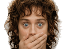 frodon-saquet-wtf-machoire-hight-bizarre-fraudonniard-phaonce-lsda-lotr