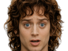frodon-saquet-wtf-machoire-hight-bizarre-fraudonniard-phaonce-lsda-lotr