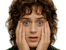 frodon-saquet-wtf-machoire-hight-bizarre-fraudonniard-phaonce-lsda-lotr
