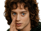 frodon-saquet-wtf-machoire-hight-bizarre-fraudonniard-phaonce-lsda-lotr