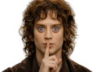 frodon-saquet-wtf-machoire-hight-bizarre-fraudonniard-phaonce-lsda-lotr