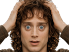 frodon-saquet-wtf-machoire-hight-bizarre-fraudonniard-phaonce-lsda-lotr