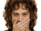 frodon-saquet-wtf-machoire-hight-bizarre-fraudonniard-phaonce-lsda-lotr