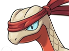 delta-massko-grovyle-juptile-pokemon-pkm-insurgence-fangame-fic-__vlt__-kalos-du-sud-cokar-type-normal-combat