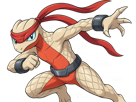 delta-massko-grovyle-juptile-pokemon-pkm-insurgence-fangame-fic-__vlt__-kalos-du-sud-cokar-type-normal-combat