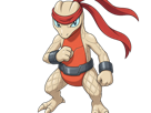 delta-massko-grovyle-juptile-pokemon-pkm-insurgence-fangame-fic-__vlt__-kalos-du-sud-cokar-type-normal-combat