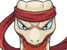 delta-massko-grovyle-juptile-pokemon-pkm-insurgence-fangame-fic-__vlt__-kalos-du-sud-cokar-type-normal-combat