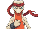 delta-massko-grovyle-juptile-pokemon-pkm-insurgence-fangame-fic-__vlt__-kalos-du-sud-cokar-type-normal-combat