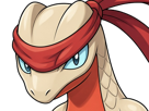 delta-massko-grovyle-juptile-pokemon-pkm-insurgence-fangame-fic-__vlt__-kalos-du-sud-cokar-type-normal-combat