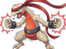 delta-massko-grovyle-juptile-pokemon-pkm-insurgence-fangame-fic-__vlt__-kalos-du-sud-cokar-type-normal-combat