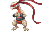 delta-massko-grovyle-juptile-pokemon-pkm-insurgence-fangame-fic-__vlt__-kalos-du-sud-cokar-type-normal-combat