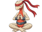 delta-massko-grovyle-juptile-pokemon-pkm-insurgence-fangame-fic-__vlt__-kalos-du-sud-cokar-type-normal-combat