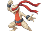 delta-massko-grovyle-juptile-pokemon-pkm-insurgence-fangame-fic-__vlt__-kalos-du-sud-cokar-type-normal-combat