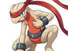 delta-massko-grovyle-juptile-pokemon-pkm-insurgence-fangame-fic-__vlt__-kalos-du-sud-cokar-type-normal-combat