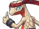 delta-massko-grovyle-juptile-pokemon-pkm-insurgence-fangame-fic-__vlt__-kalos-du-sud-cokar-type-normal-combat
