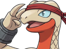 delta-massko-grovyle-juptile-pokemon-pkm-insurgence-fangame-fic-__vlt__-kalos-du-sud-cokar-type-normal-combat