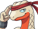 delta-massko-grovyle-juptile-pokemon-pkm-insurgence-fangame-fic-__vlt__-kalos-du-sud-cokar-type-normal-combat