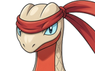 delta-massko-grovyle-juptile-pokemon-pkm-insurgence-fangame-fic-__vlt__-kalos-du-sud-cokar-type-normal-combat