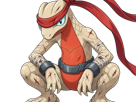 delta-massko-grovyle-juptile-pokemon-pkm-insurgence-fangame-fic-__vlt__-kalos-du-sud-cokar-type-normal-combat