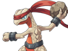 delta-massko-grovyle-juptile-pokemon-pkm-insurgence-fangame-fic-__vlt__-kalos-du-sud-cokar-type-normal-combat