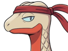 delta-massko-grovyle-juptile-pokemon-pkm-insurgence-fangame-fic-__vlt__-kalos-du-sud-cokar-type-normal-combat