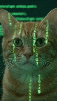 h4ck-exploit-web-matrice-crosoft-cpu-ram-hack-linux-rebel-trojan-windows-computer-pece-cyber
