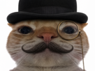 chat-aya-ahi-mepris-monocle-moustache-chapeau-melon