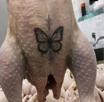 magalie-dinde-tatouage-femme-moderne-30ans-trentaine-ronde-maman-solo-recherche-cuck-escalope-prolapsus-feminisme