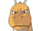 dracolosse-dragonite-kairyu-pokemon-pkm-jeu-anime-type-dragon-vol-1g-kanto