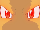 dracolosse-dragonite-kairyu-pokemon-pkm-jeu-anime-type-dragon-vol-1g-kanto