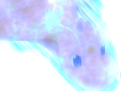 dracolosse-dragonite-kairyu-pokemon-pkm-jeu-anime-type-dragon-vol-1g-kanto