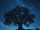 arbre-monde-interieur-pierrot-fic-bloop