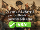 pokemon-kalos-sud-vlt-quill-anon-quillanon-helbrant-leon-decryptage-decrypte-fact-check-fact-check-vrai