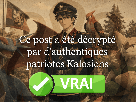 pokemon-kalos-sud-vlt-quill-anon-quillanon-helbrant-leon-decryptage-decrypte-fact-check-fact-check-vrai