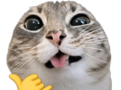 chat-cool-ca-farte-emoji-relax-chill-langue-tire-la-chaton-cat-posay-frais-knifos
