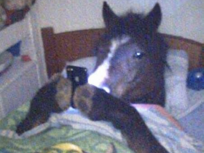 cheval telephone portable lit