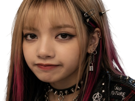 other-lisa-fille-kpop-blackpink-punk-archivage-backup
