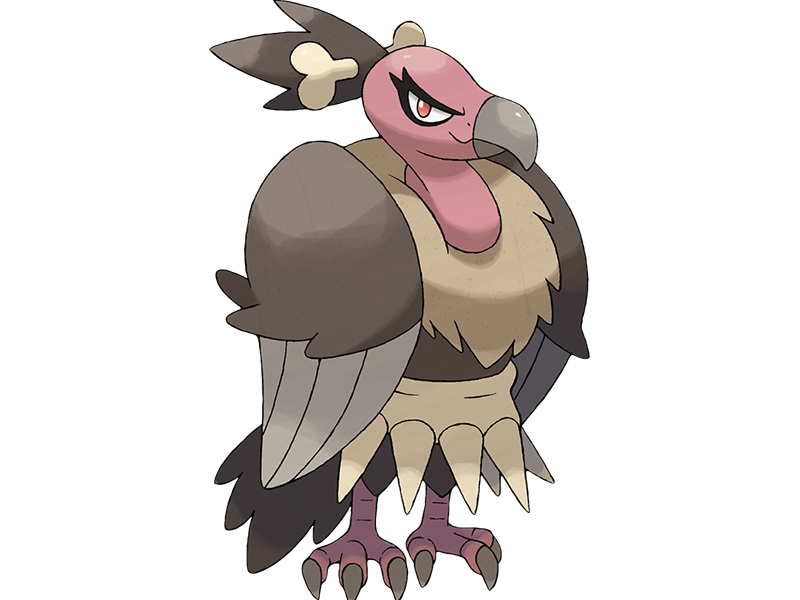 vaututrice mandibuzz vulgina pokemon pkm jeu anime type tenebres vol 5g unys vostour