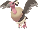 vaututrice-mandibuzz-vulgina-pokemon-pkm-jeu-anime-type-tenebres-vol-5g-unys-vostour