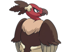 vaututrice-mandibuzz-vulgina-pokemon-pkm-jeu-anime-type-tenebres-vol-5g-unys-vostour