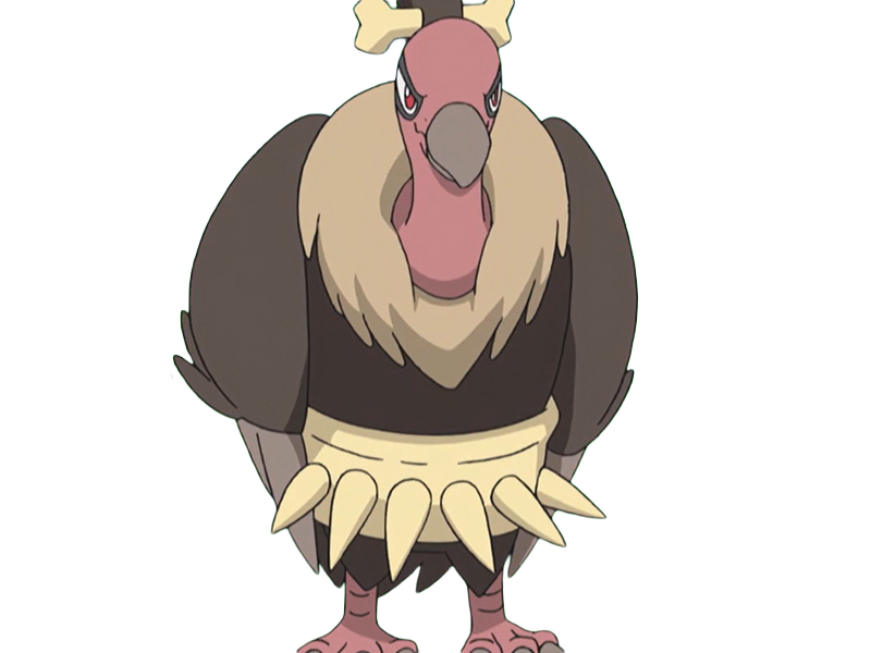 vaututrice mandibuzz vulgina pokemon pkm jeu anime type tenebres vol 5g unys vostour