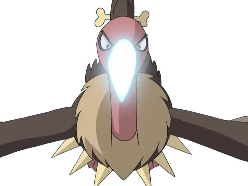 vaututrice mandibuzz vulgina pokemon pkm jeu anime type tenebres vol 5g unys vostour