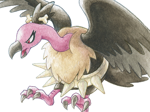 vaututrice mandibuzz vulgina pokemon pkm jeu anime type tenebres vol 5g unys vostour