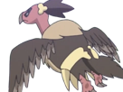 vaututrice-mandibuzz-vulgina-pokemon-pkm-jeu-anime-type-tenebres-vol-5g-unys-vostour