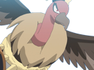 vaututrice-mandibuzz-vulgina-pokemon-pkm-jeu-anime-type-tenebres-vol-5g-unys-vostour