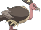 vaututrice-mandibuzz-vulgina-pokemon-pkm-jeu-anime-type-tenebres-vol-5g-unys-vostour