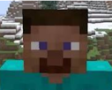 steve-minecraft-pioche